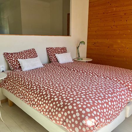 La Perle Des Montagnes - Bed And Breakfast - Chambre D Hote Vernet-les-Bains Kültér fotó