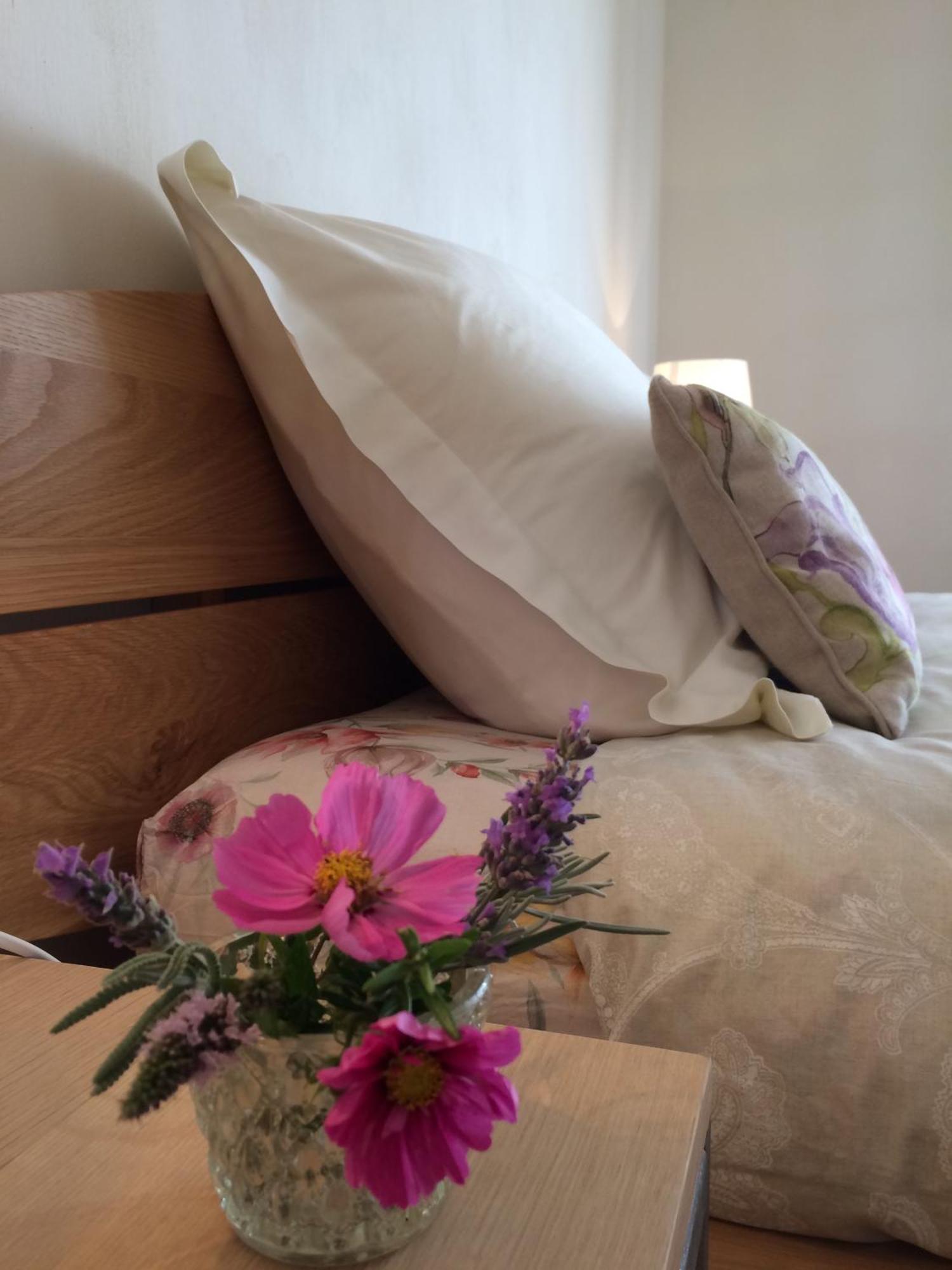 La Perle Des Montagnes - Bed And Breakfast - Chambre D Hote Vernet-les-Bains Kültér fotó